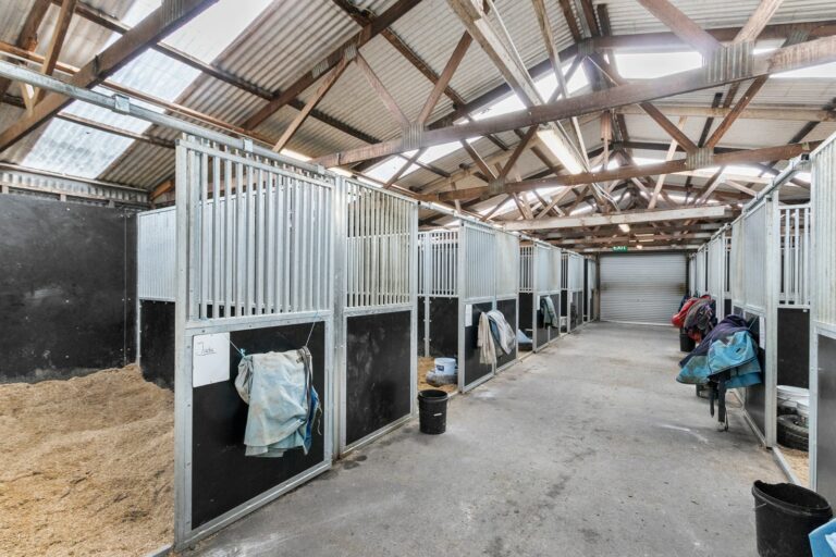Racecourse road equiboard stables
