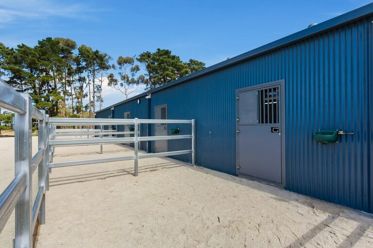 RSPCA Horse stables with day yard doors and fencing