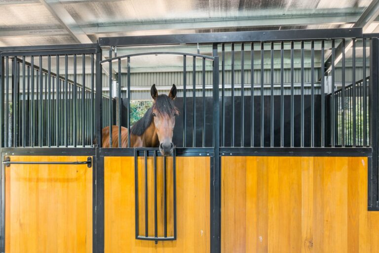 Horse stables with hardwood infill and powder coated frame in black