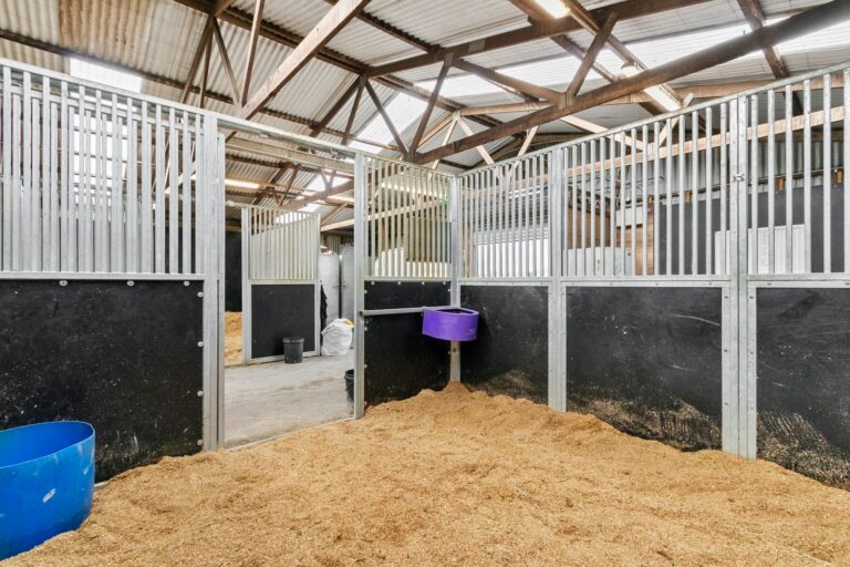 Racecourse road equiboard stables