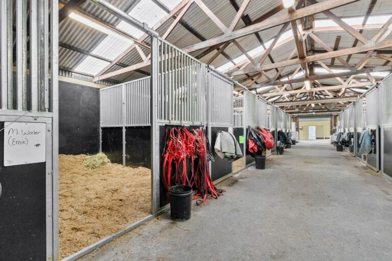 Racecourse road equiboard stables