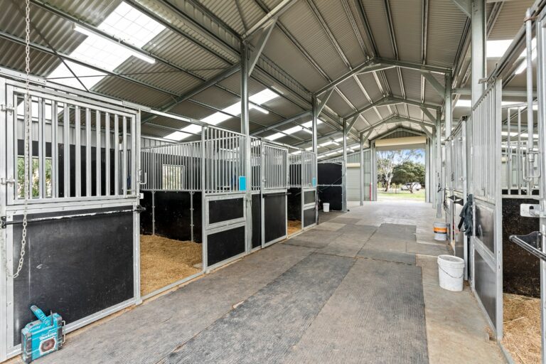 Equibaord stables in American style barn