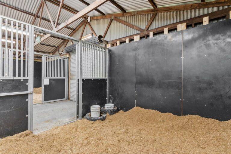 Racecourse road equiboard stables