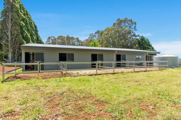 Horse stables with day yard doors and fencing
