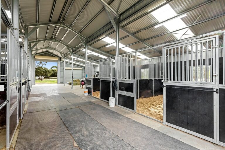 Equibaord stables in American style barn