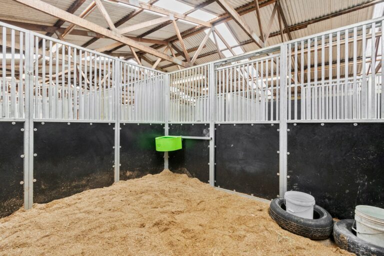 Racecourse road equiboard stables