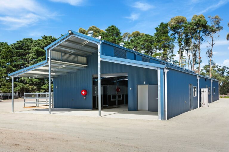 RSPCA Shed and Stables with day yard doors and fencing