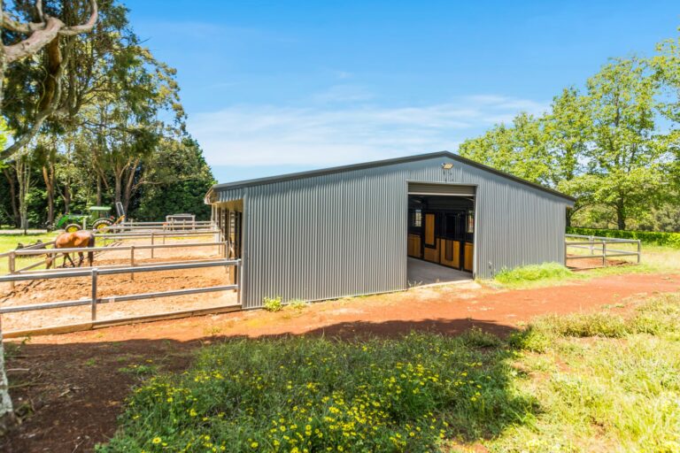 Horse stables with day yard doors and fencing