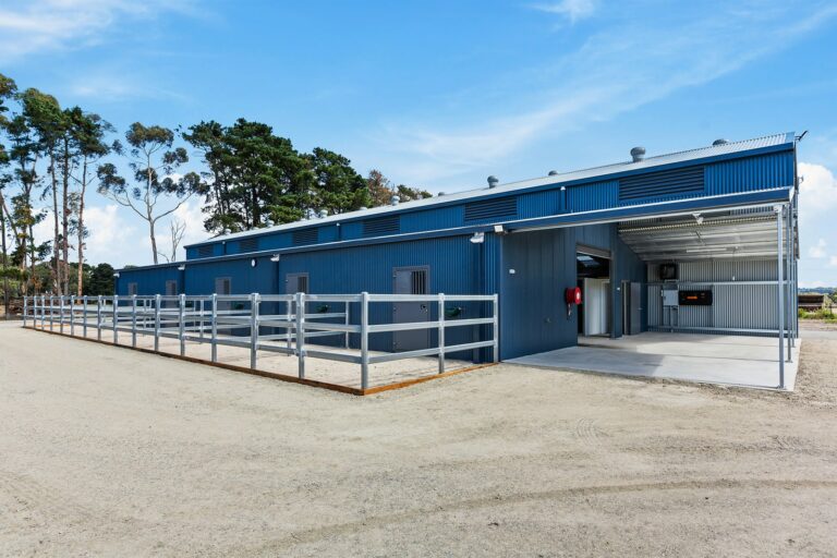 RSPCA Shed and Stables with day yard doors and fencing