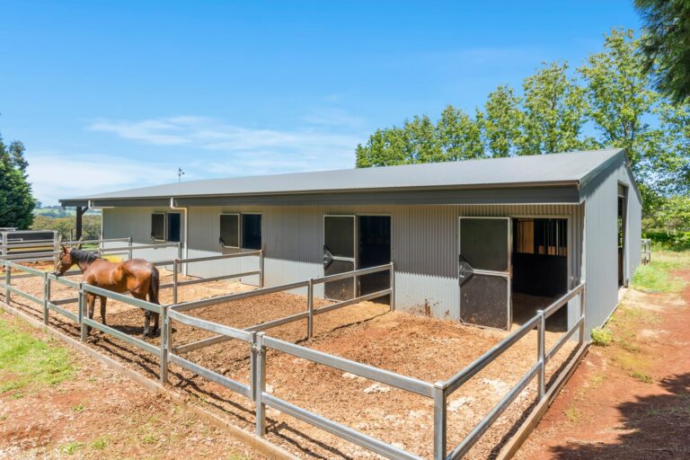 Horse stables with day yard doors and fencing