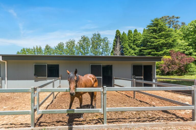 Horse stables with day yard doors and fencing