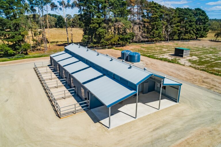 RSPCA Shed and Stables with day yard doors and fencing