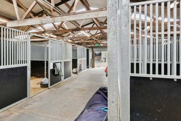 Racecourse road equiboard stables