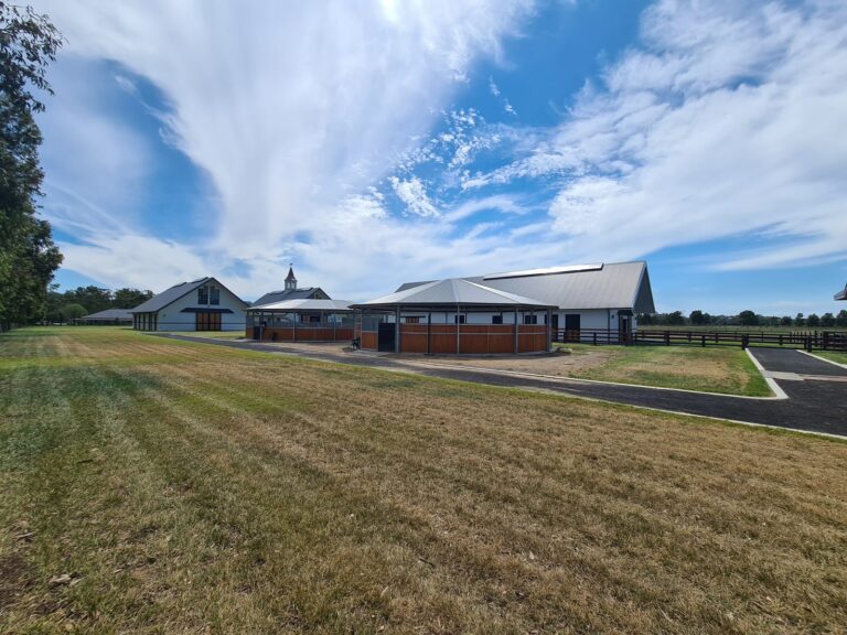 Horse Yulong stable barn with Champion hardwood barn doors