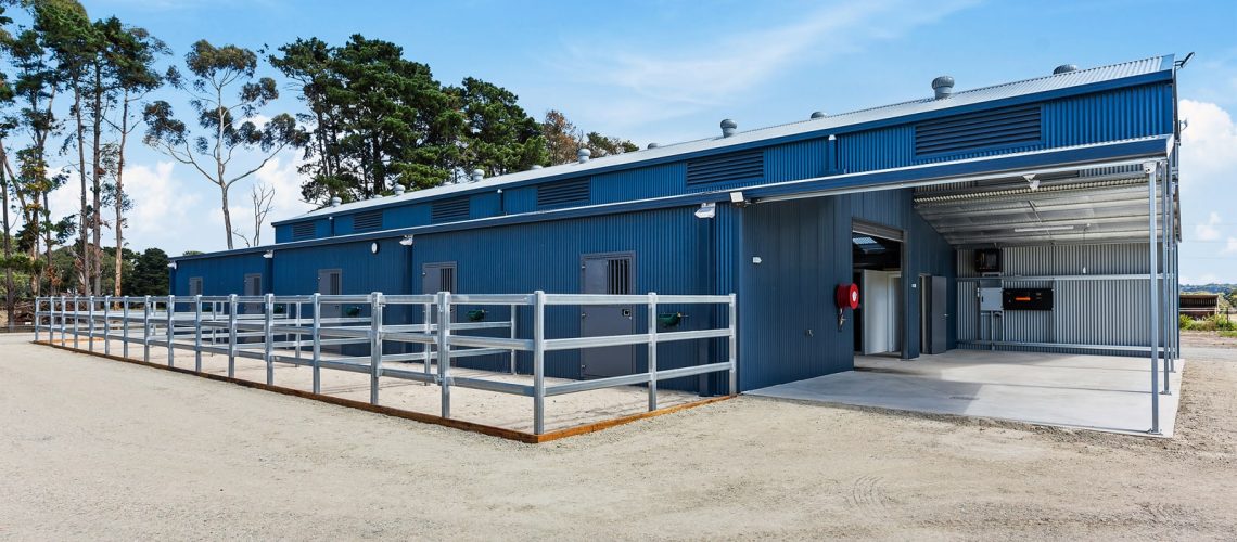RSPCA Shed and Stables with day yard doors and fencing