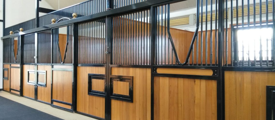 Yulong horse barn with champion hardwood stables and black powder coating
