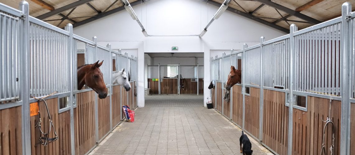 Horse stables with hardwood infill