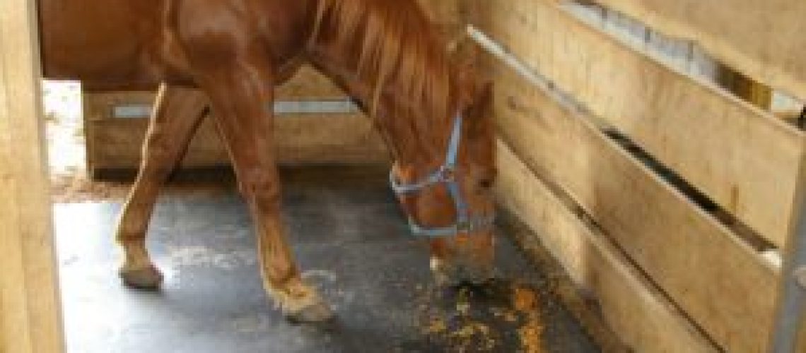 portable-stall-mats-horse-stall